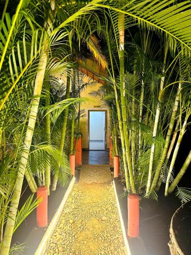 Dandeli Other | Dandeli Kali Resort