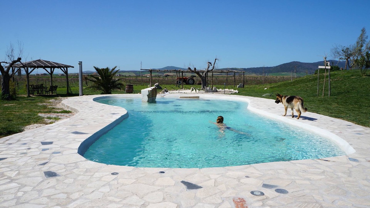 Canino Apartment | Daniele House - Relaxation and Volcanic Water under the Stars Occasum