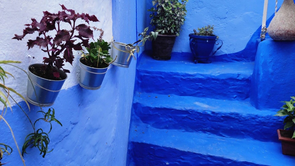 Chefchaouen House | Dar Ennadi Terrace & Tranquility