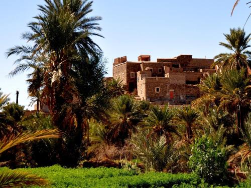 Tata House | DAR INFIANE Tata