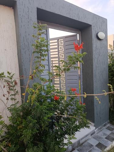 Dar Allouche Villa | Dar Marhaba karkouane