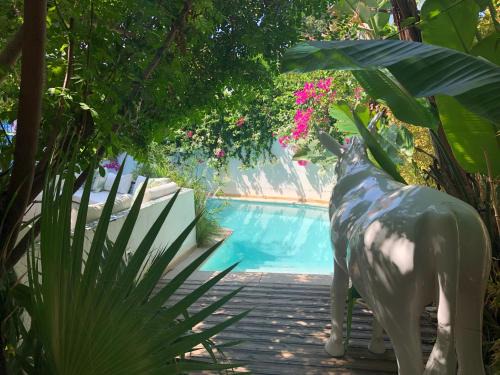 Marsa Cube House | Dar Marsa Cubes