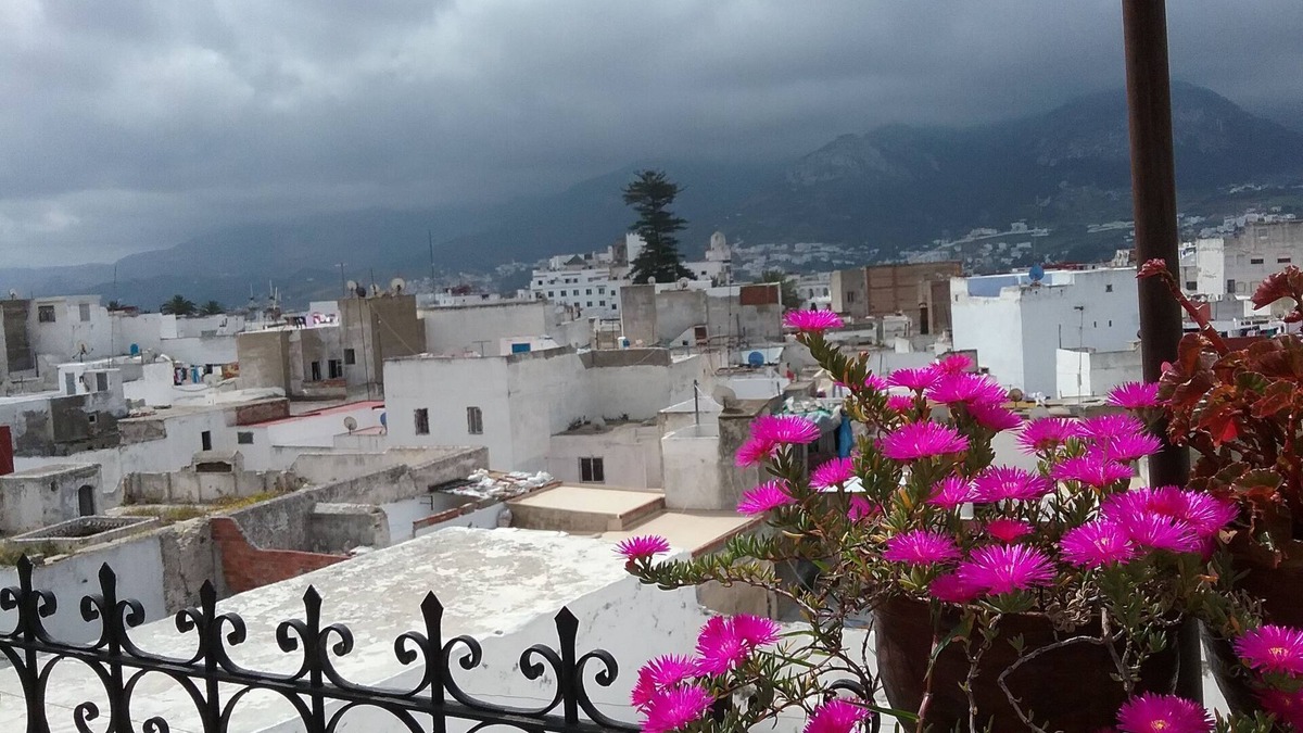 El Ayoun House | Dar Rehla