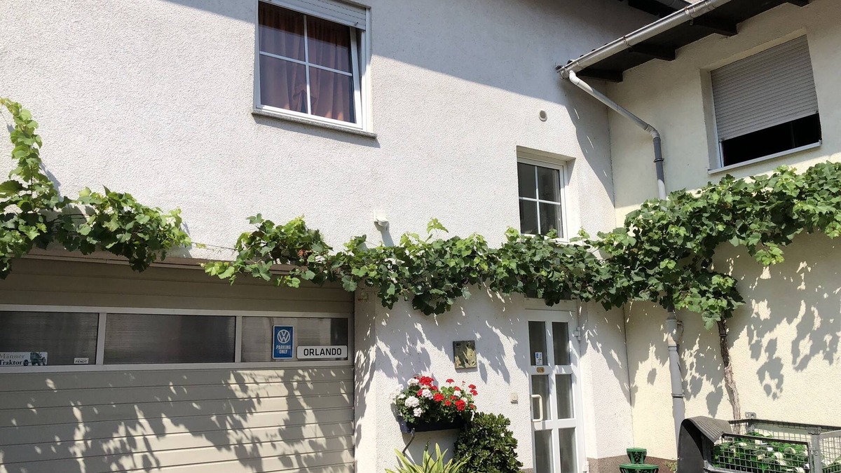 Mainz-Bingen House | Darmstädter Hof