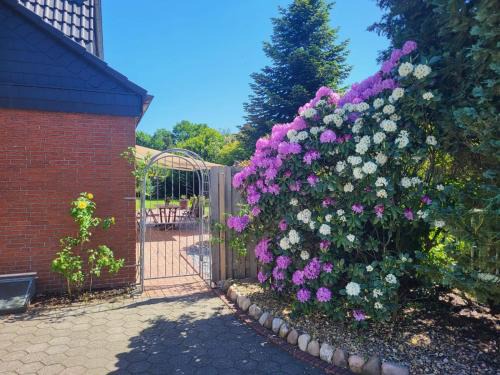 Nadorst Apartment | Das kleine gemütliche Apartment direkt am Wald