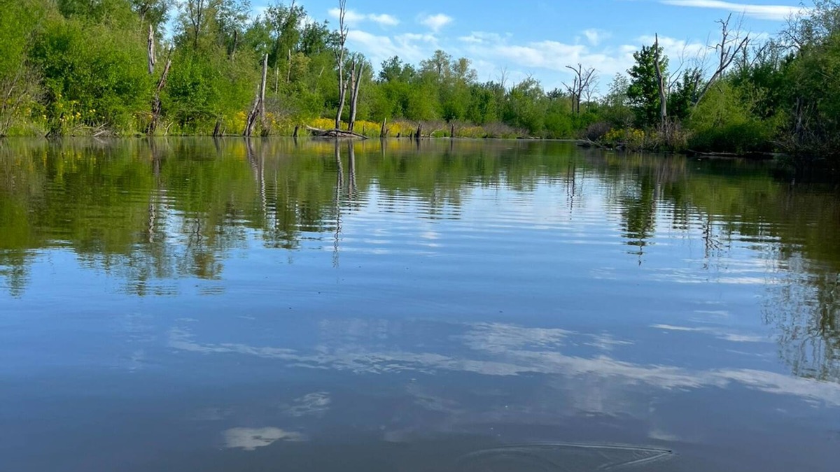 Mozier Cabin | Dave’s River House