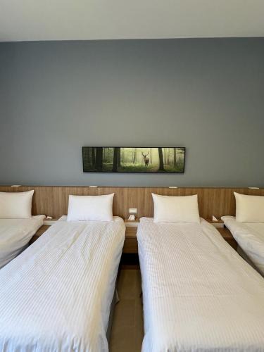 Lyudao House | Dawn Valley