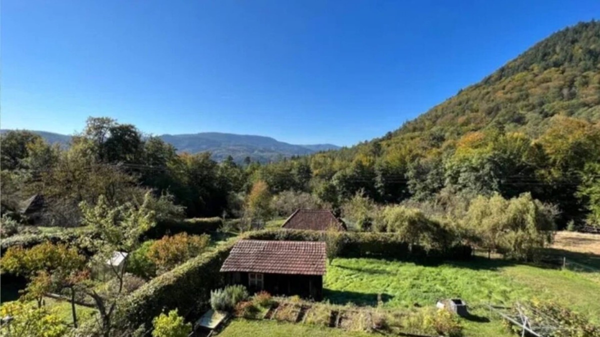 La Vancelle Apartment | "De l'herbe jusqu'à les genoux" - 2-room apartment