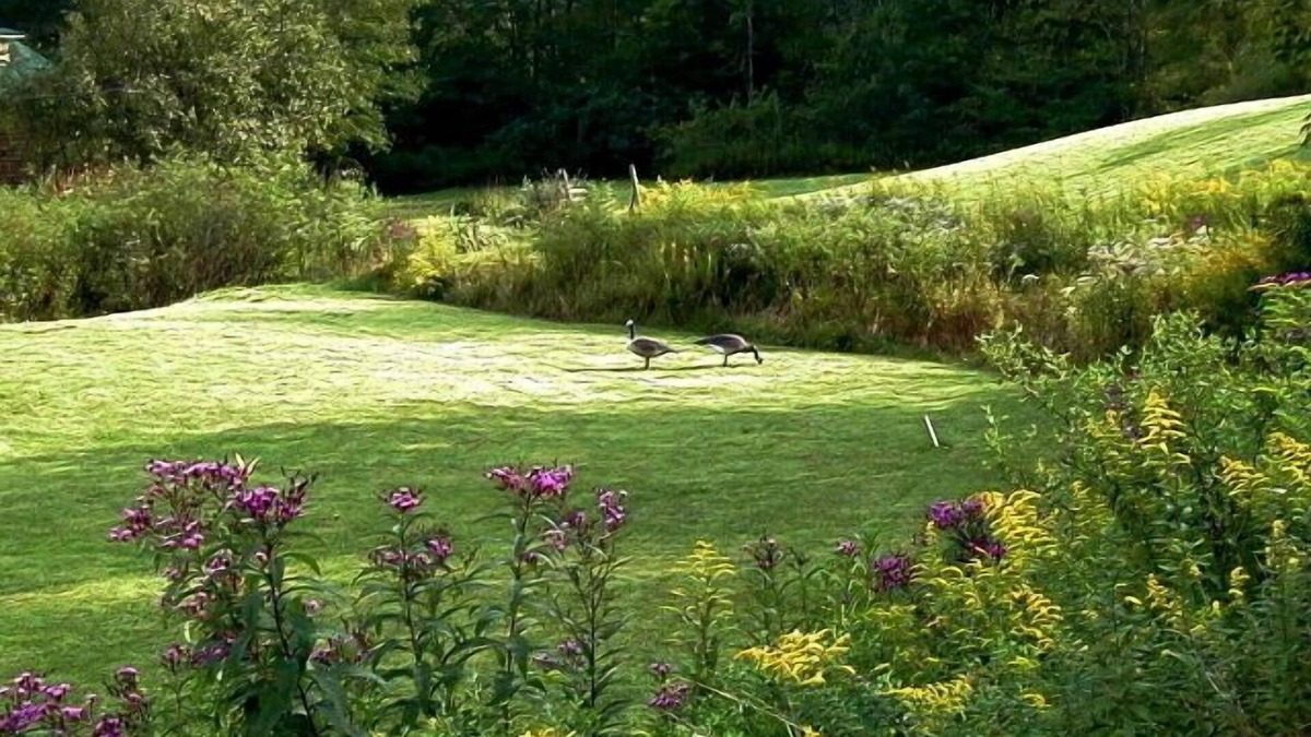 Glenville Cabin | Deal Today! Log Cabin, HotTub under Cabana, Mtn View, Lake 1 mile to Lake!