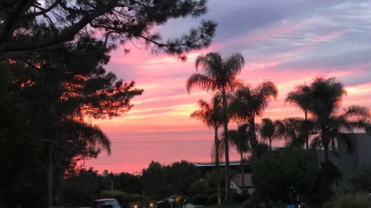 Del Mar Heights House | Del Mar Torrey Pines With An Ocean View