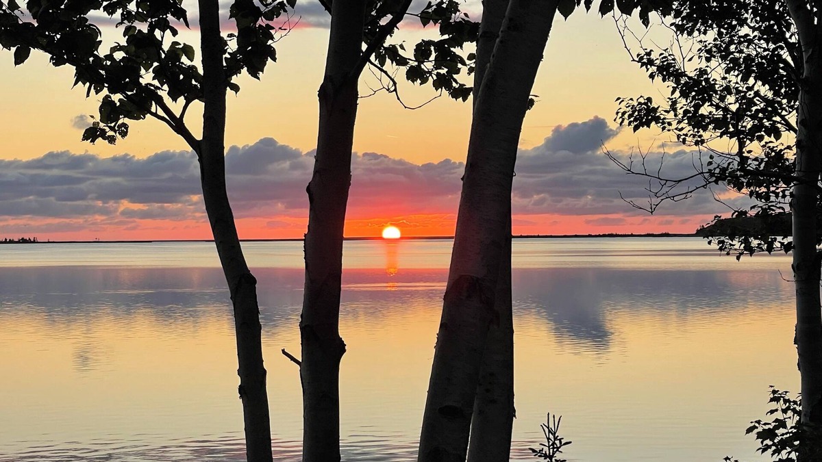 South Harbour Cabin | Delightful Waterfront Cottage