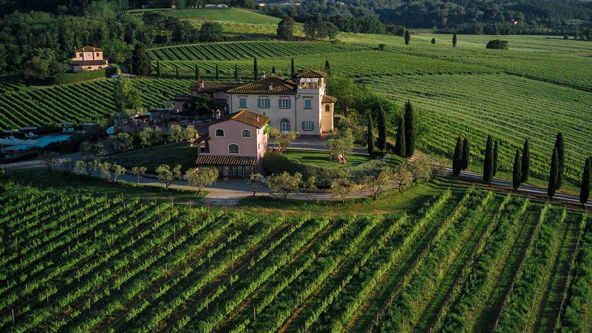 Crespina Other | Deluxe apartment in the organic wine-farm of Poggio al Casone