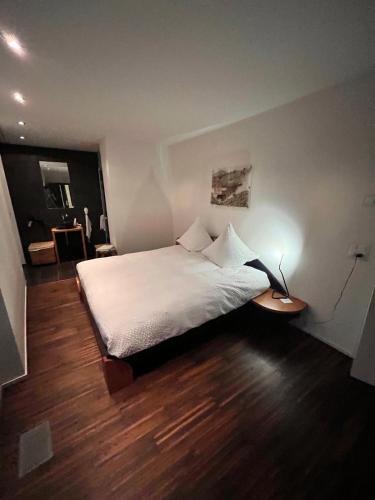 Teufen House | Deluxe Zimmer in Privatwohnung an zentraler Lage