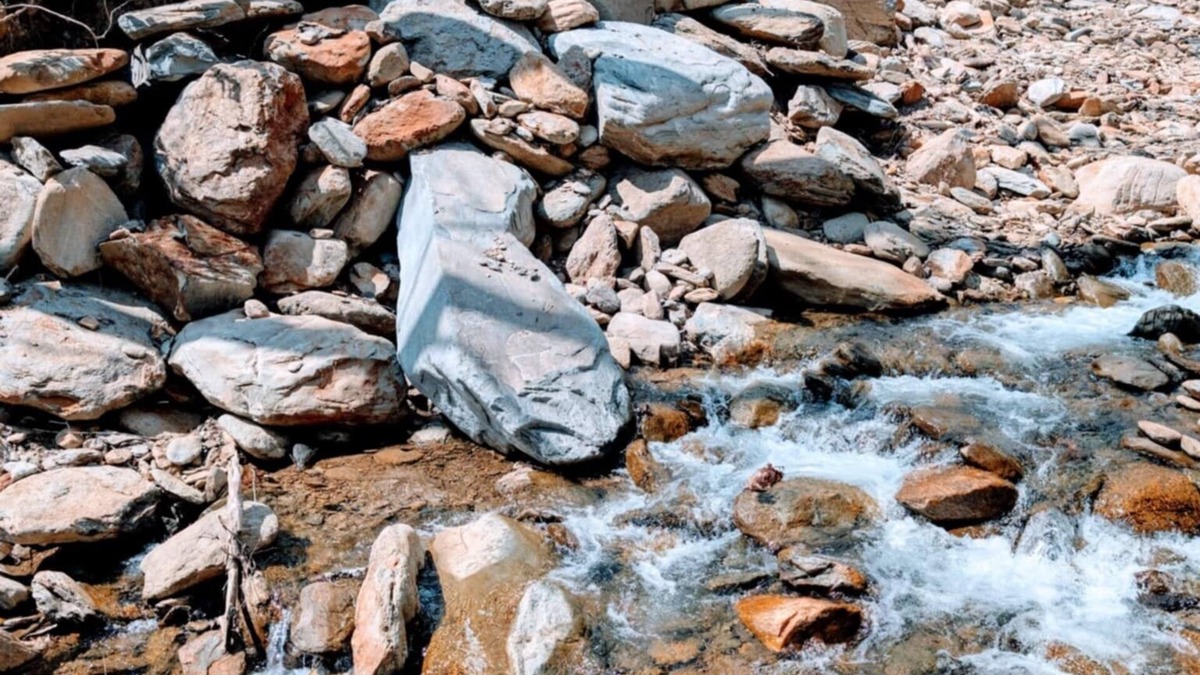 Old Fort Cabin | Dense foliage, rolling currents of Newberry Creek the perfect place to relax.