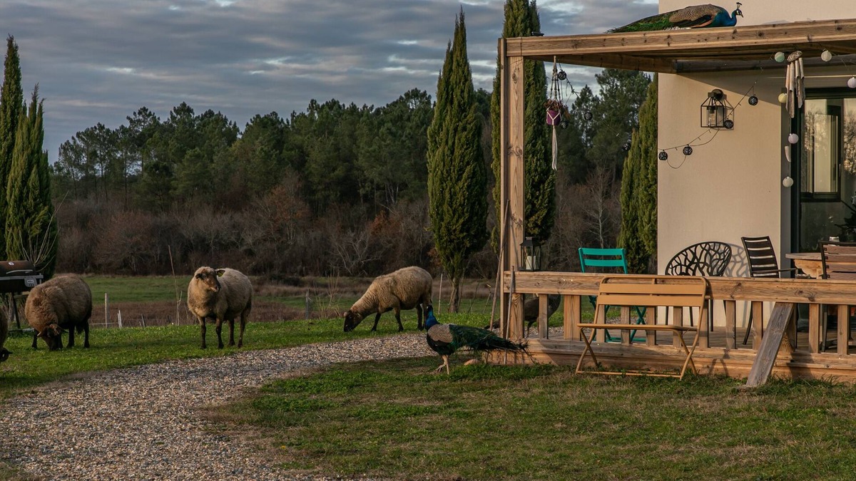 La Clotte House | Description
