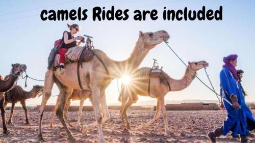 Amezrou Other | Desert Camp in Zagora - Camel ride - Easy & Affordable Stays