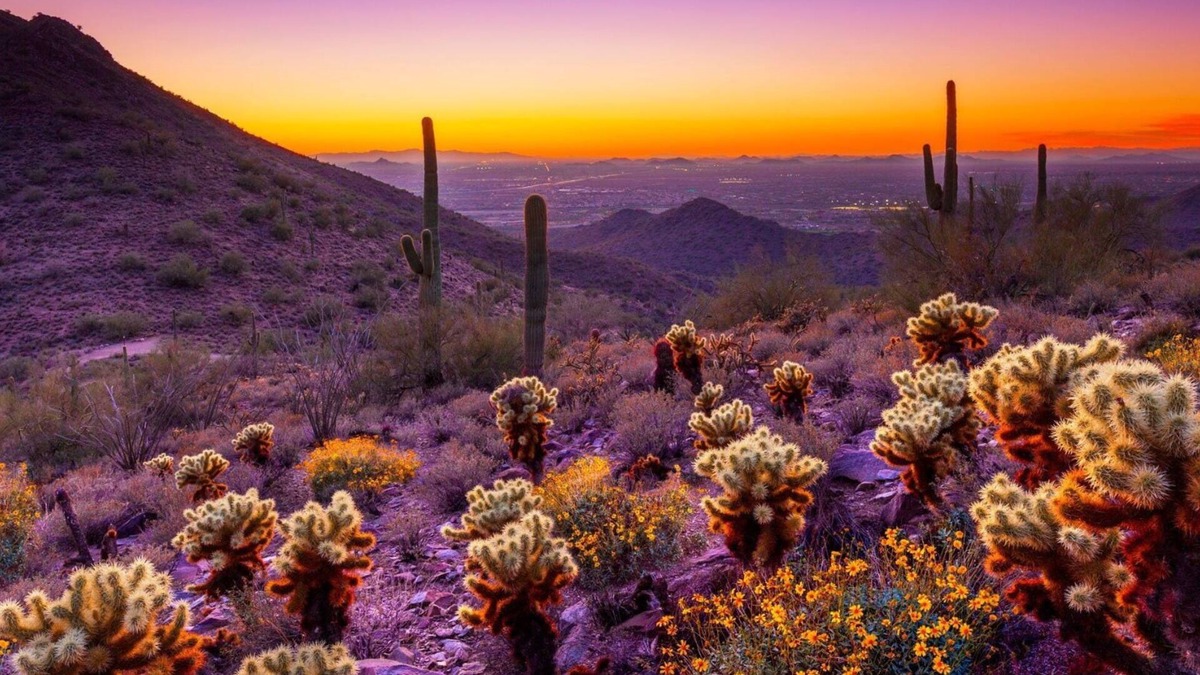 Oracle Heights Estates House | Desert Dreams & Group Adventures Await