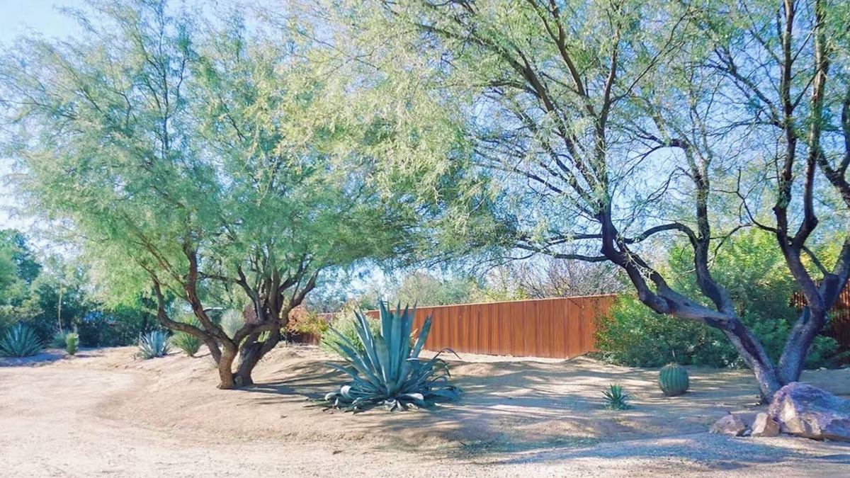 Sahuarita Apartment | Desert Garden Home With a View