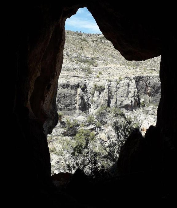 Van Horn Other | Desert Gardens Oasis Campground