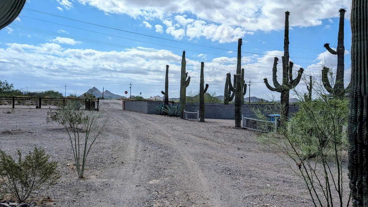 Tucson Estates House | Desert Gem on 1 Acre 2bed/1 bath