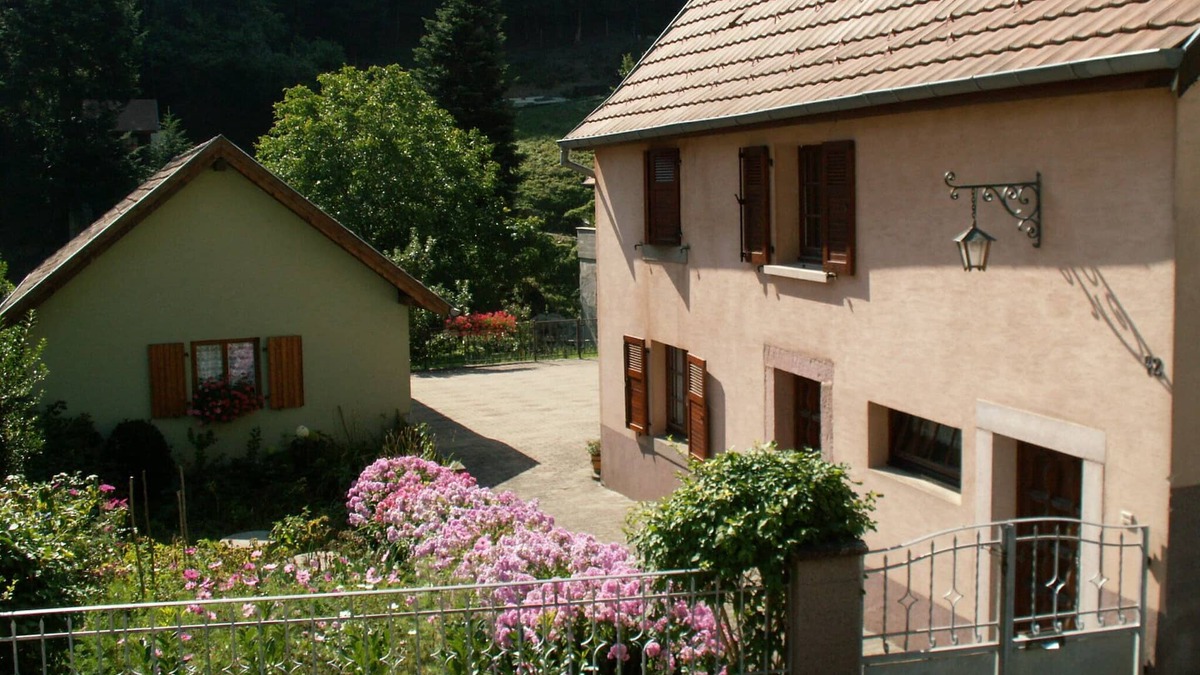 Rimbach-pres-Guebwiller House | Detached renovated house with forest view
