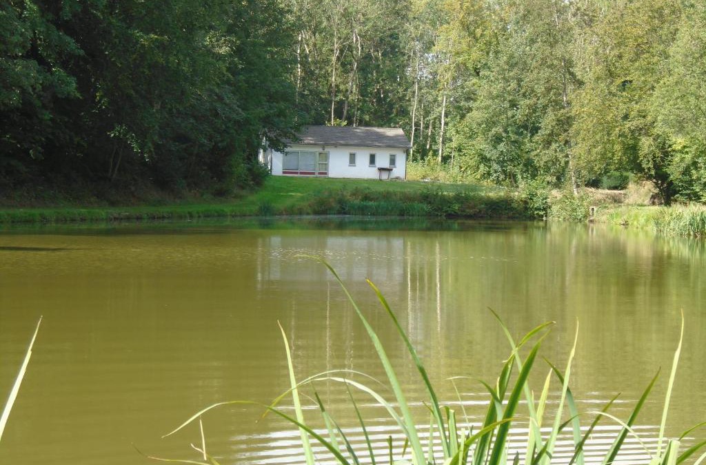 Florennes House | Deux étangs poissonneux au milieu des bois avec gîte moderne, la halte des deux lacs