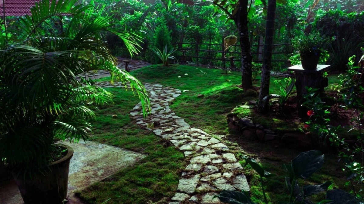 Sakleshpur Cottage | Dew Drops@ Kalgane