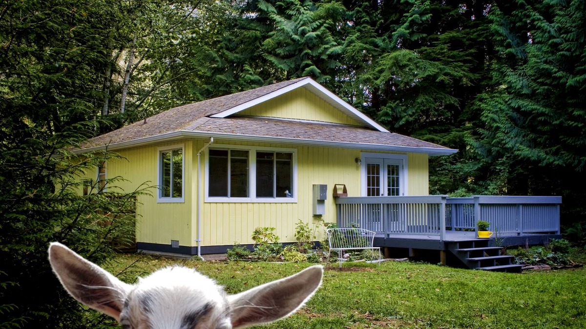 Juan de Fuca Electoral Area Cottage | Diamond Cottage, close to Sooke, Shirley and Port Renfrew. 40 mins to Victoria