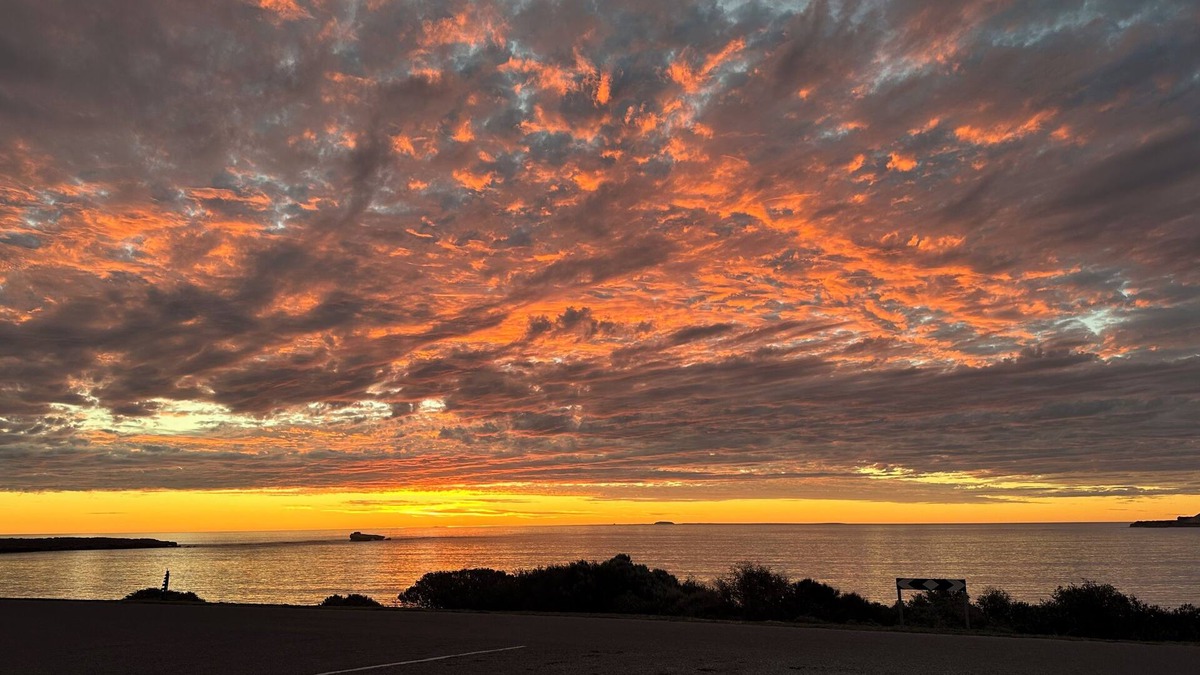 Ward House | Diamond View Beach House