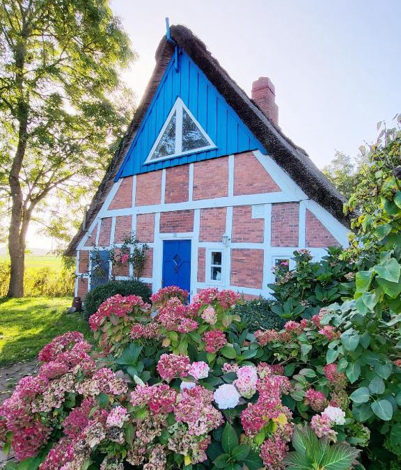 Krummendeich House | Die blaue Reetdachkate am Deich