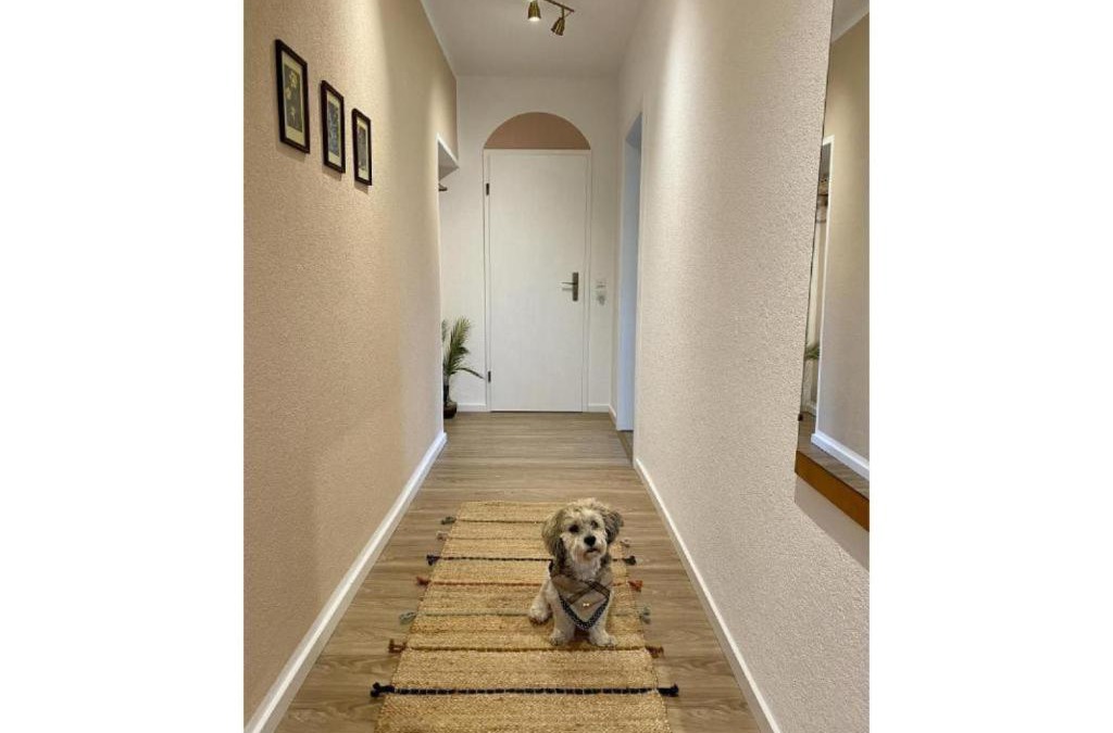 Melsungen Apartment | Die Raspel