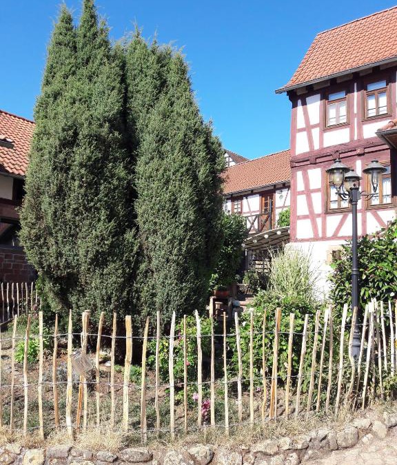 Diebach am Haag Apartment | Diebacher Hof