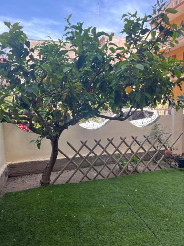 San Giorgio Apartment | Dimora la Tonnara