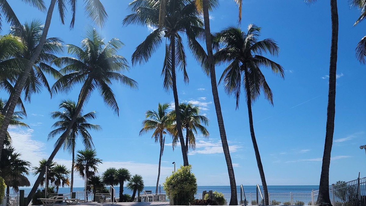 Layton House | Direct Oceanfront with beach and pool
