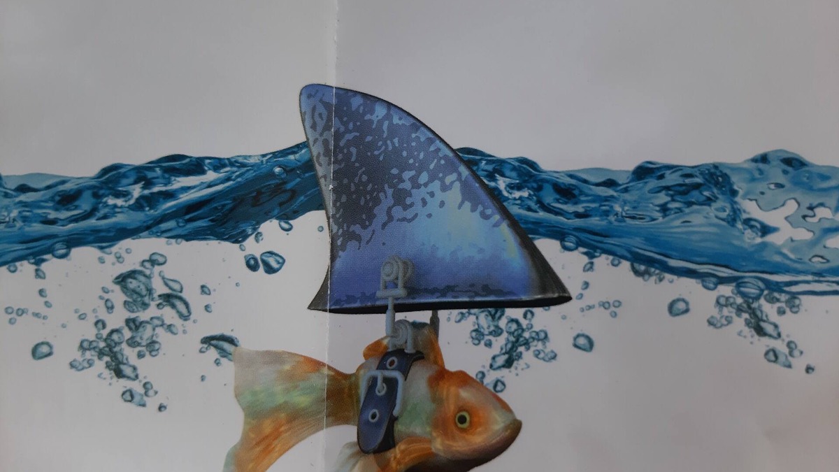 Muritz Apartment | Direkt auf dem Wasser - Un`s Lütt Goldfisch im "haifischbecken"