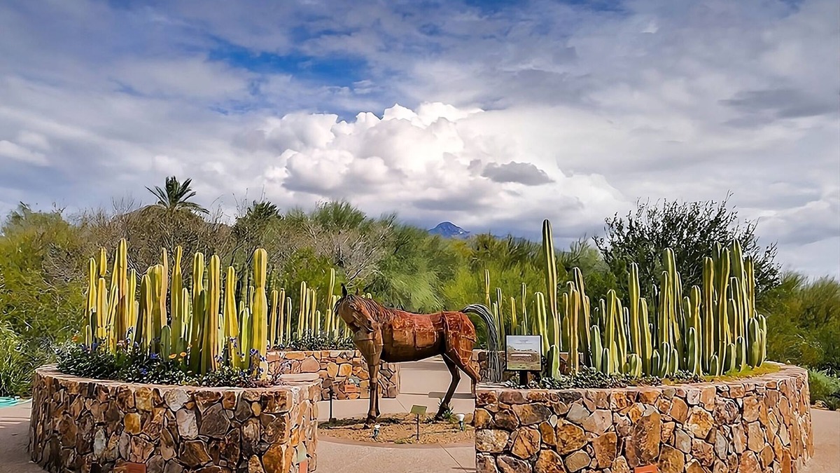 Tucson Apartment | Discover the Beauty of Tucson! Free Breakfast, Pet-friendly, Outdoor Pool!