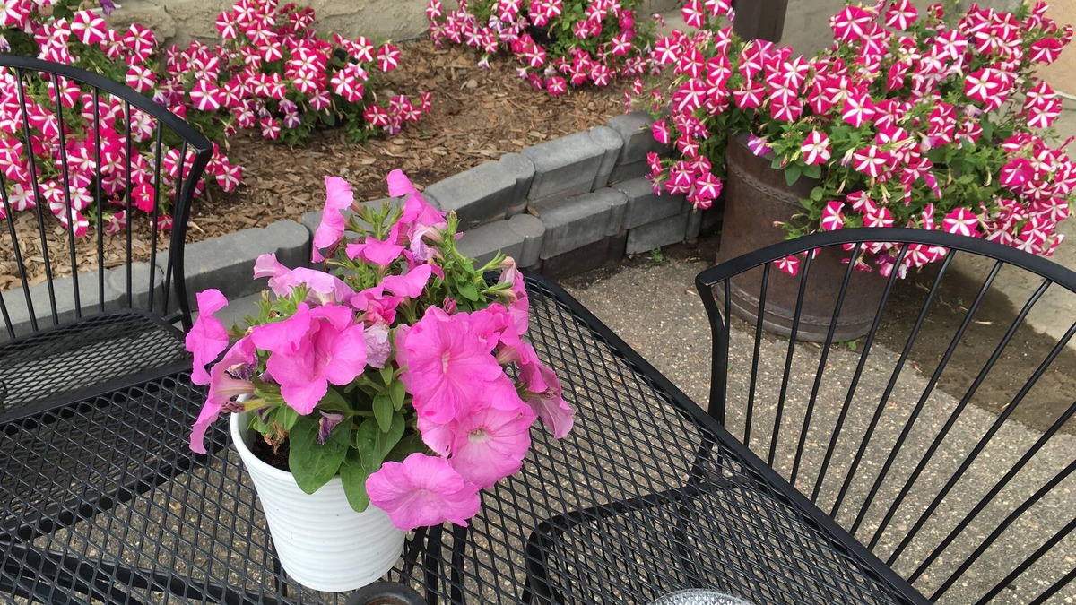 Cold Lake Hotel | Dockside Inn