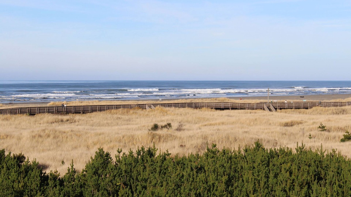 Long Beach Condo | Dog-friendly oceanfront condo with electric fireplace - walk to the beach