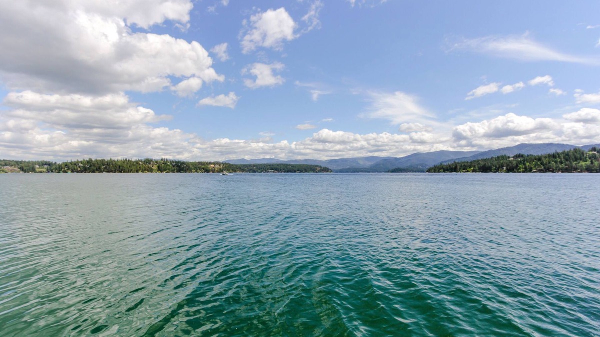 Clarksville Cabin | Dog-friendly waterfront cabin w/dock, boat slip, patio, deck & mountain views