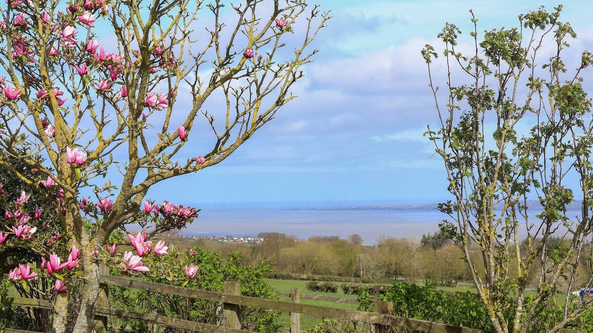 Dolphin Cottage | DOLPHIN BACH, pet friendly, character holiday cottage in Dolphin