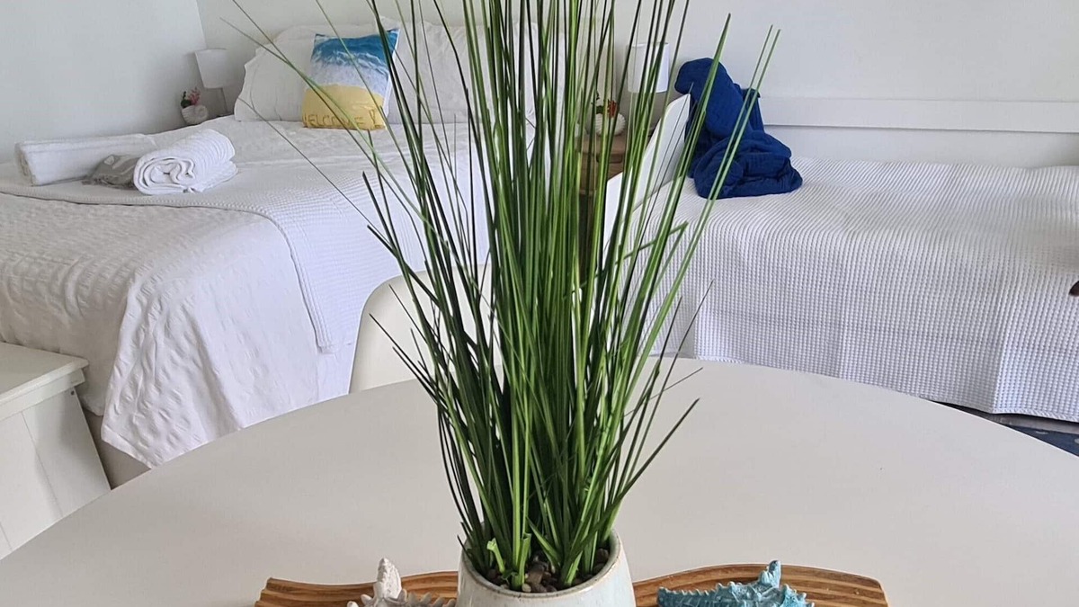 Dolphin Heads Apartment | Dolphin Heads | Resort Unit | ABSOLUTE BEACHFRONT! Whitsunday Getaway!