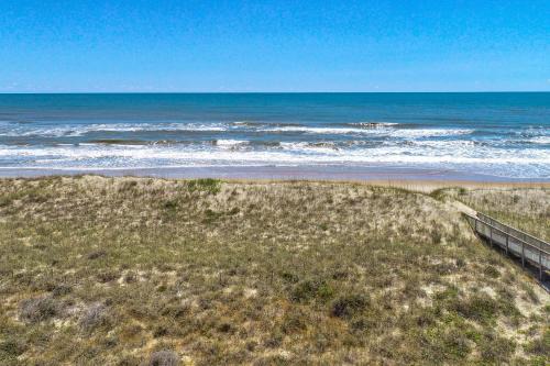 Frisco House | Dolphin Watch 224