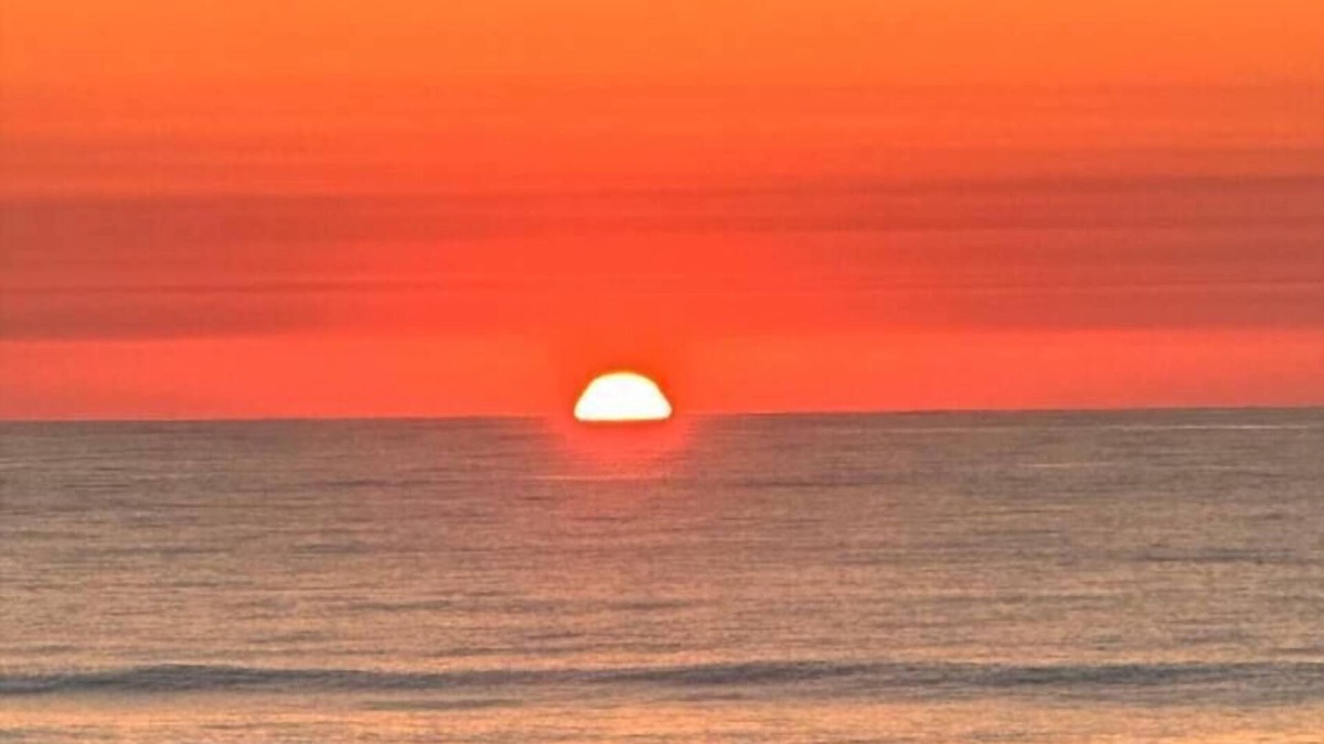 Waters Edge House | Dolphins, Wildlife amazing location to see it all!