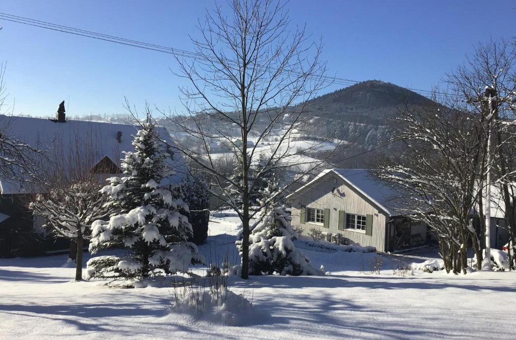 Nowe Rybie Villa | Dom w Starym Sadzie z basenem i sauną - Beskid Wyspowy