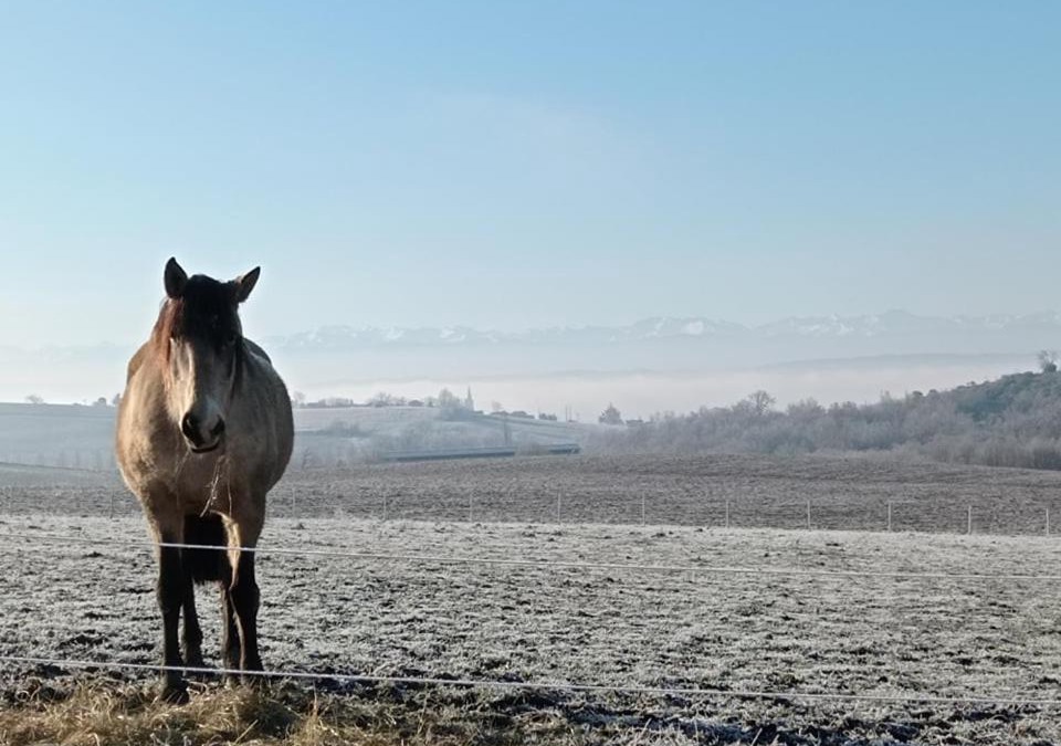 Cintegabelle House | Domaine de buffevent