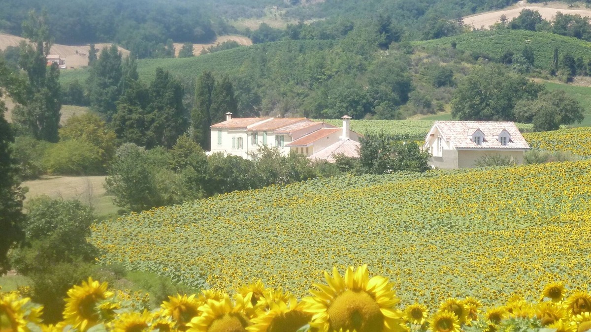 Hounoux Cottage | Domaine de La Barre - peace and tranquility near to Carcassonne and Mirepoix
