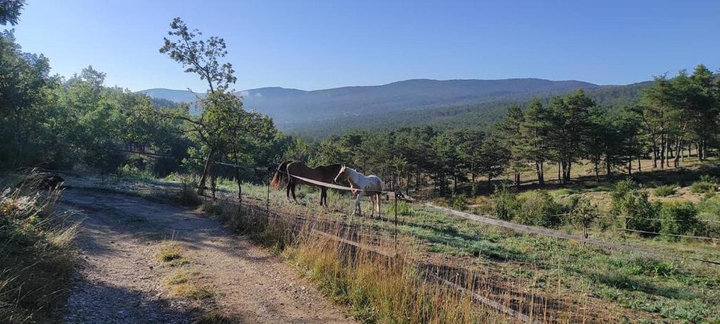 Trigance House | Domaine du Cruvelet Grand gite
