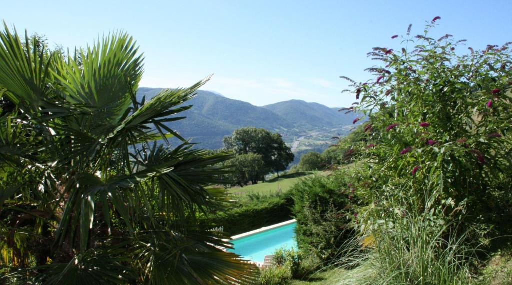 Vif Other | Domaine du Rocher St-Loup