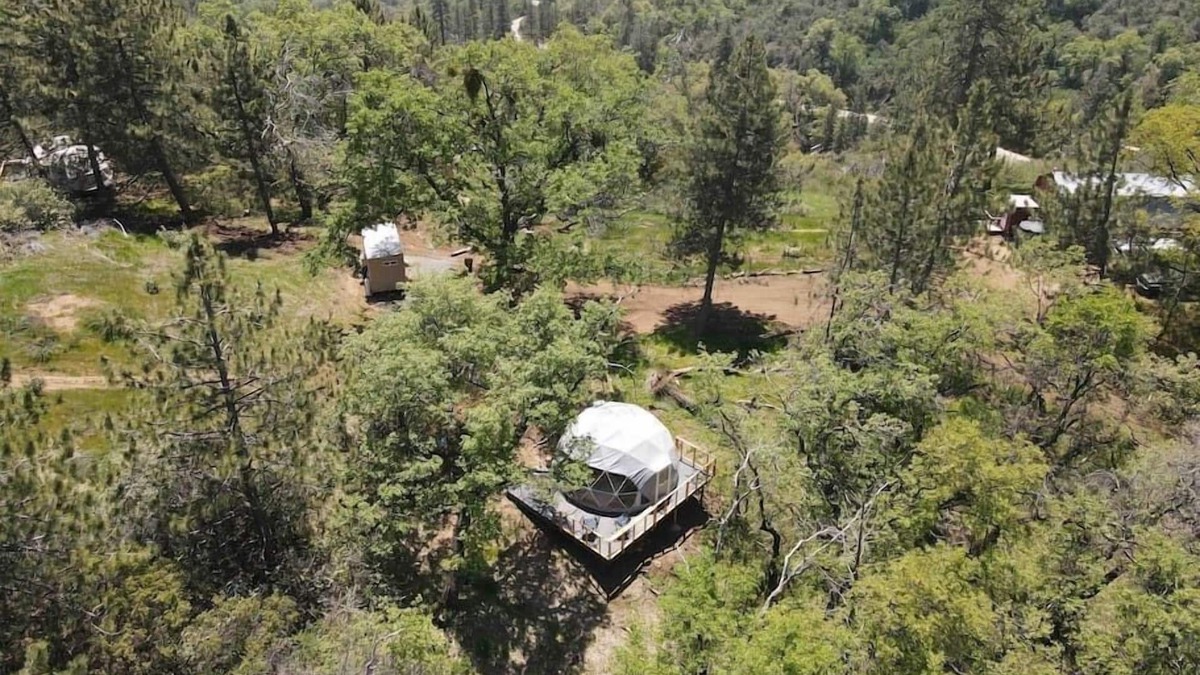 Dunlap Apartment | Dome 3 - Enchanted Forest