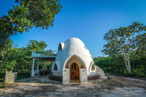 Chiquila Other | Dome @Jackfruit Jungle Paradise